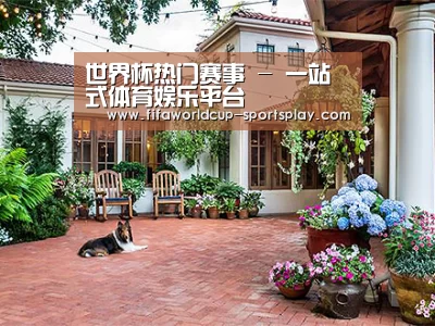 客户案例标题九