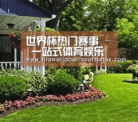 世界杯热门赛事 - 一站式体育娱乐平台