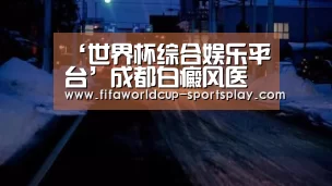 世界杯热门赛事