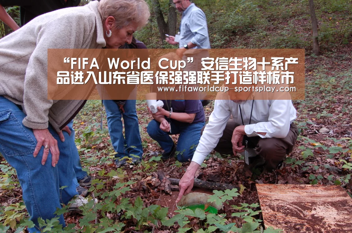 FIFA World Cup
