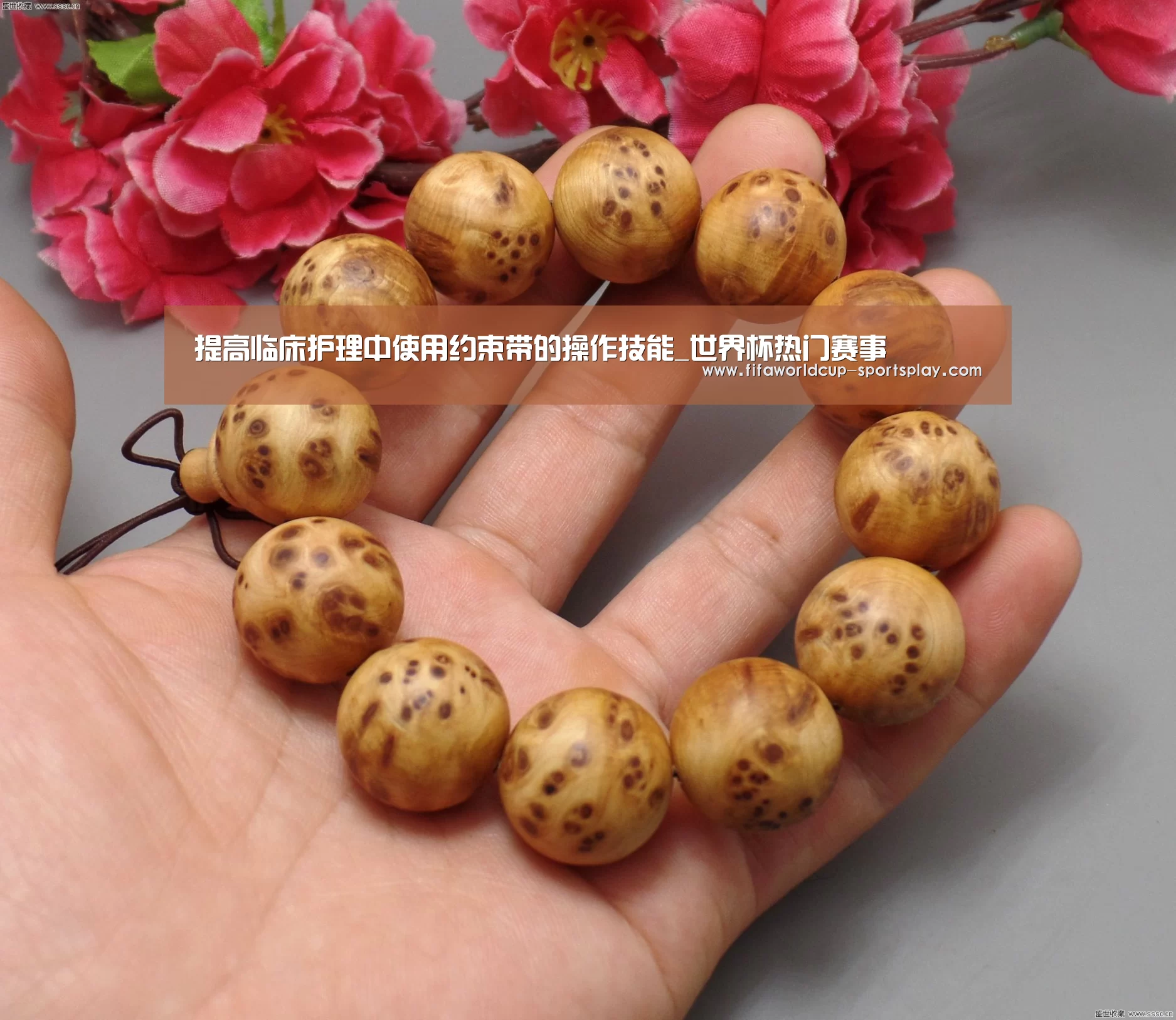 世界杯综合娱乐平台