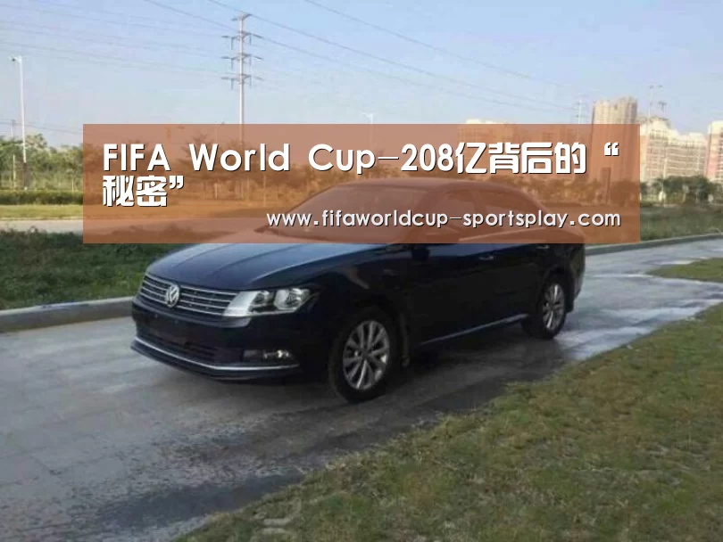 FIFA World Cup-208亿背后的“秘密”(图1) FIFA World Cup