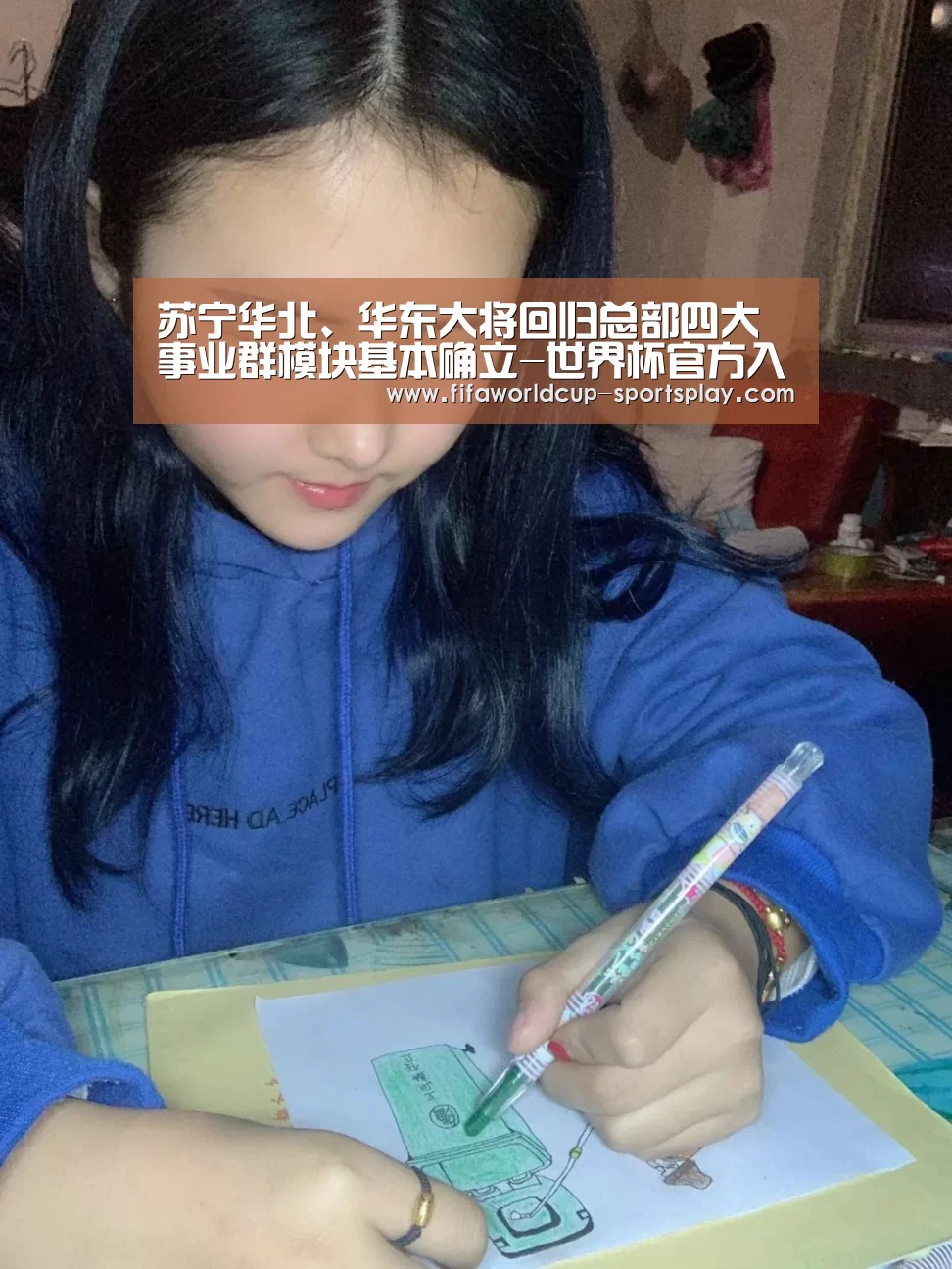 苏宁华北、华东大将回归总部四大事业群模块基本确立-世界杯官方入口(图1) 世界杯官方入口