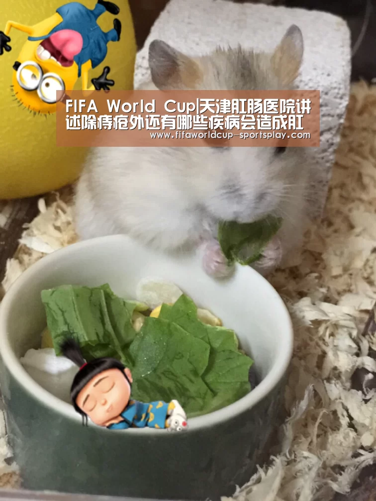 世界杯热门赛事